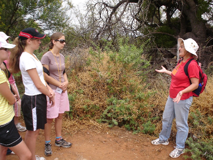 Nelia explains about the local plants